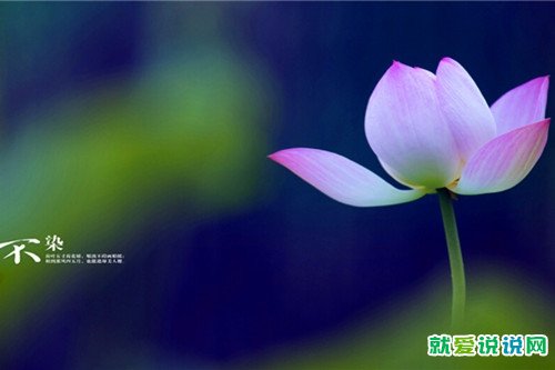 形容上班忙的幽默句子