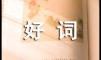 开心的好词好句好段子