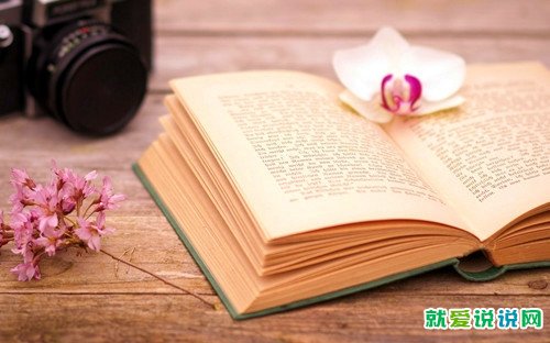 郑渊洁作品经典语录