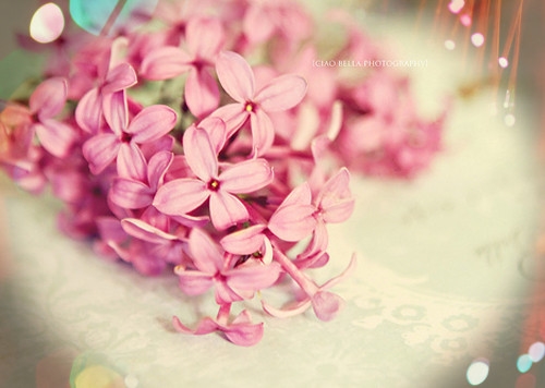 走心唯美的微信签名