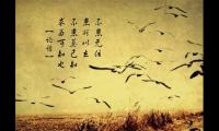诗意的个性签名一句话【图】