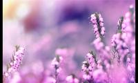 关于五四青年节活动主题标语【图】