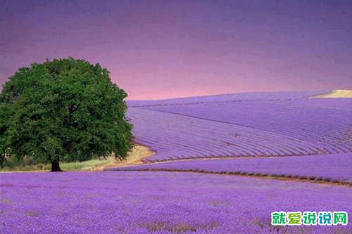 想出去玩的句子发朋友圈