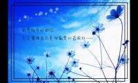 抖音上很火的个性签名【图】