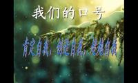 团队精神的口号八个字【图】