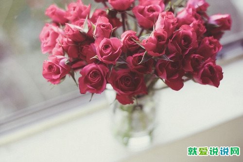 蜗居经典台词语录
