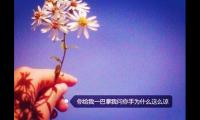 2020年吸引人的个性签名 抖音上很火的个性签名【图】