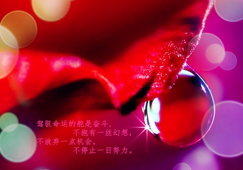 放下过去重新开始的签名