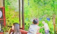 姐弟之情适合发朋友圈句子