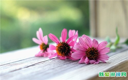 唯美古风意境的句子