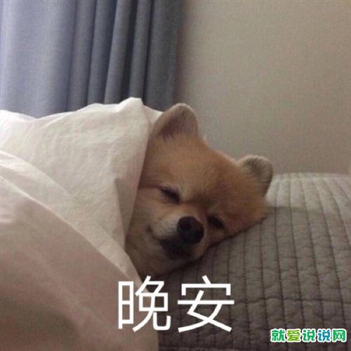适合发微博的晚安句子