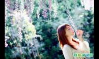 清新脱俗古风有仙气的签名