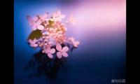 关于80后人生哲理句子说说(一些人生哲理句子文案发朋友圈说说)大全