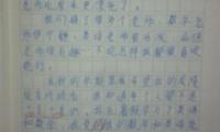 关于作文开学第一天大全