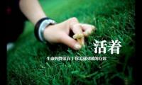 关于人活着不过是珍惜峥嵘岁月，领略萍水相逢大全
