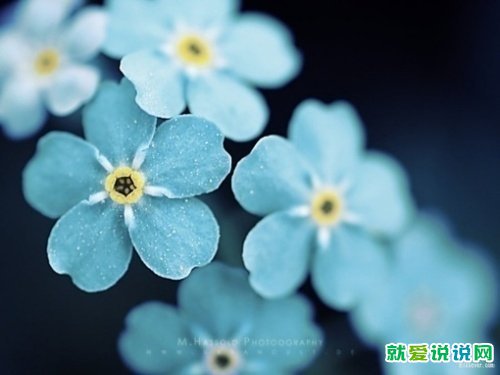 下雨美好的句子