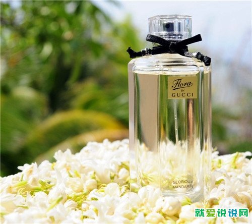 感谢教育机构的一句话
