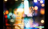 关于夜晚的唯美句子