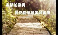 关于唯美的句子关于友情：友情淡雅，却很珍贵，距离遥远，依然惦念大全