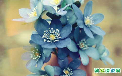 全网最火霸气骂人句子