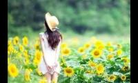 关于人活着，心态正了，人生就会顺了大全
