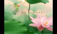 关于涅槃重生的励志句子【精选10句】大全
