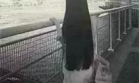 关于忍气吞声的人并不笨，只是宁可对自己残忍大全