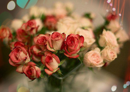 鼓励孩子的简短语录