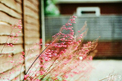 最伤感的句子经典语句