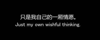 一厢情愿的伤感句子