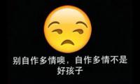 关于自作多情的伤感句子，自作多情的说说个性签名大全