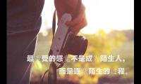 关于优美伤感的句子大全：我的青春悲剧，你的年少轻狂大全