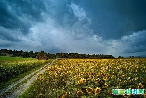 感叹岁月流逝的经典句子