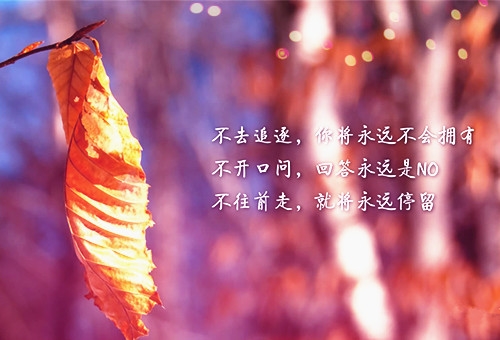 学霸经典励志语录