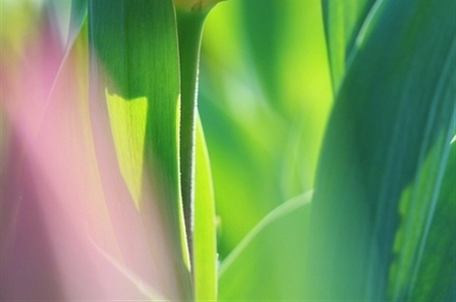 晚上问候朋友的简短句子