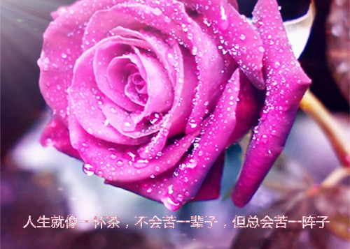 周末愉快的正能量句子