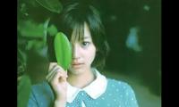 看淡一切无所谓的句子(表示释怀和放下的句子)