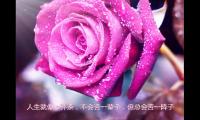 周末愉快的正能量句子