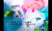 积极向上的句子简短八个字