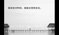 描写十二月的优美句子