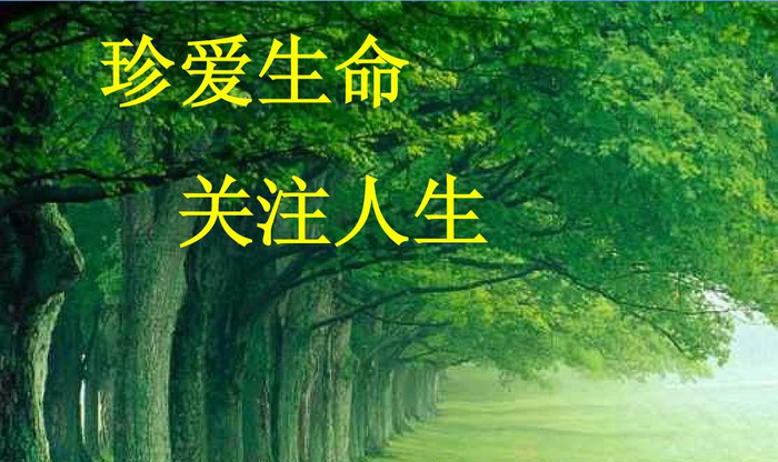 关注健康关爱生命句子文案