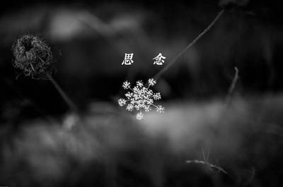 思念