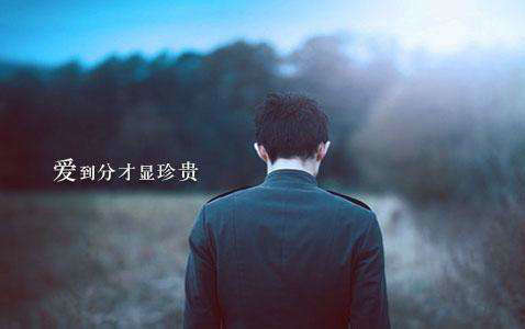 关于爱情的句子伤感