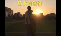 关于偷来的感情的句子说说(关于偷来的爱情说说)大全