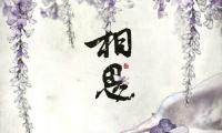 关于相思又不能相见的句子【精选14句】大全