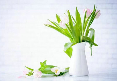 从来就没有卑微的生命，只有卑微的态度