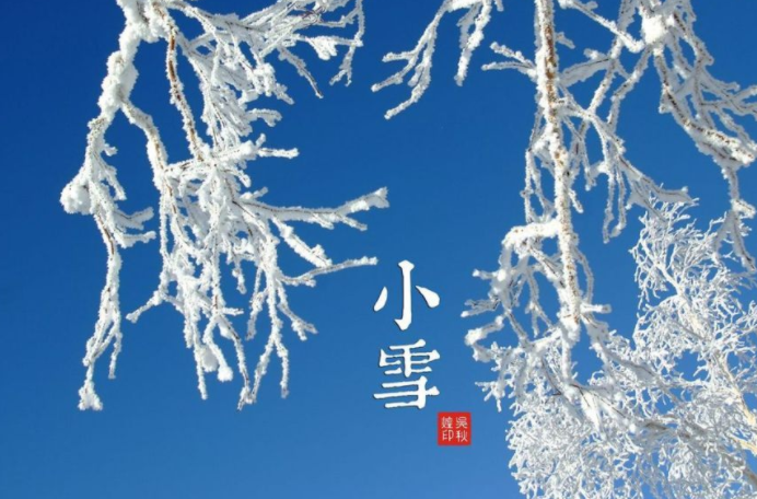 小雪节气谚语