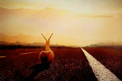 事到万难须放胆，人处逆境须从容