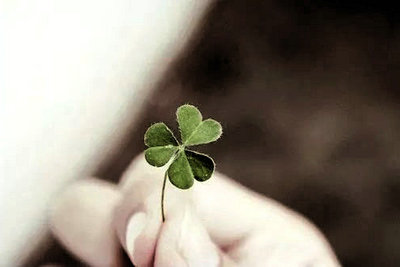 从来就没有卑微的生命，只有卑微的态度