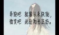 关于想一千次，不如去做一次。华丽的跌倒，胜过无谓的徘徊大全